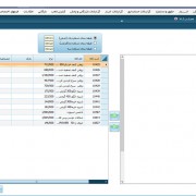 رده بندی کالا در نرم افزار حسابداری پیشگامان مازندران